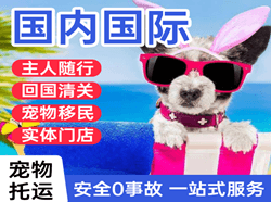 鄂伦春空运公司国际宠物托运 【国